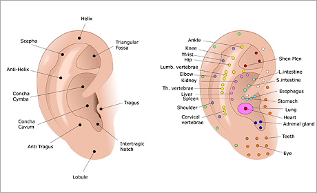 Auricular ear Acupuncture healing by Dr Motz Auricular ear Acupuncture healing by Dr Motz